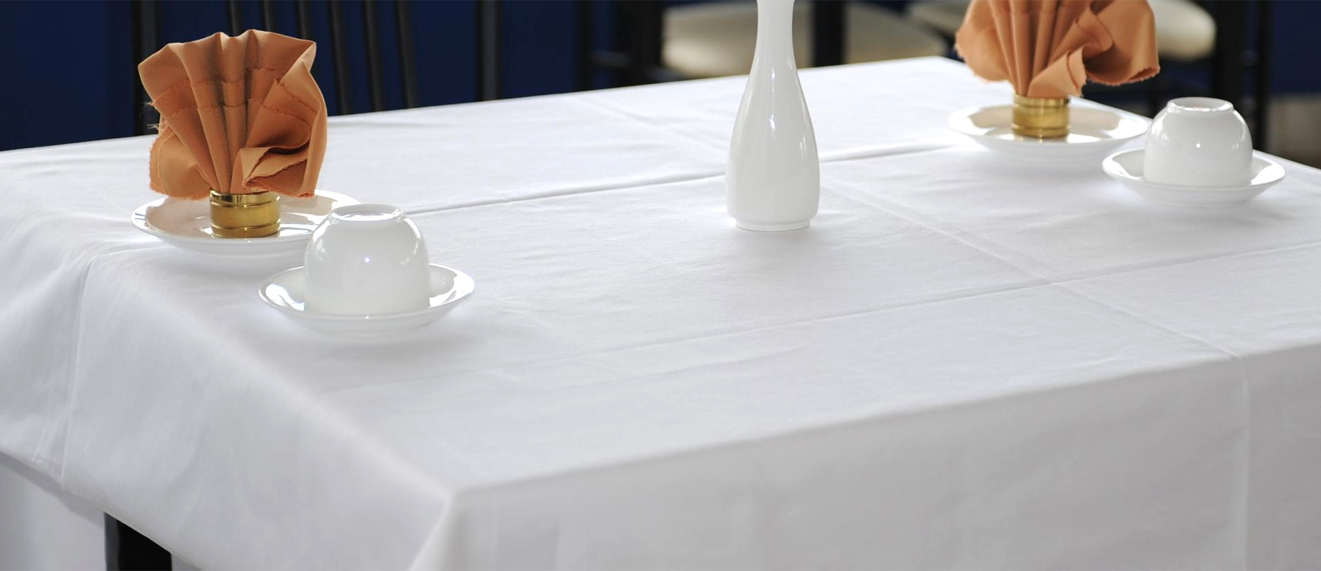 餐饮用品(图1)